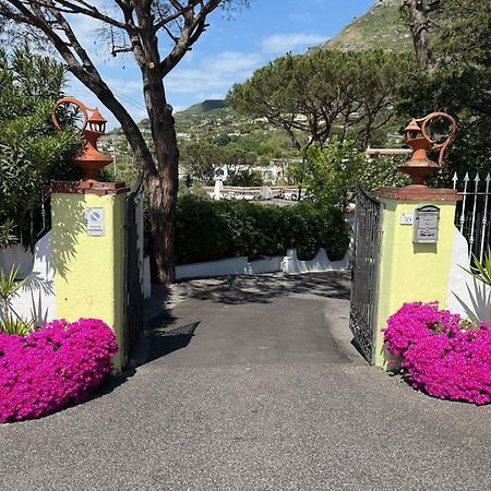 Hotel Park Calitto Forio di Ischia Exterior foto